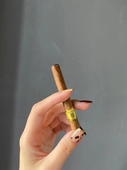 智利行货雪茄怎么样啊，智利香烟品牌大全